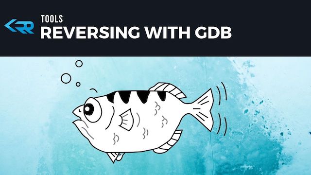 Reversing with GDB (GNU Debugger)